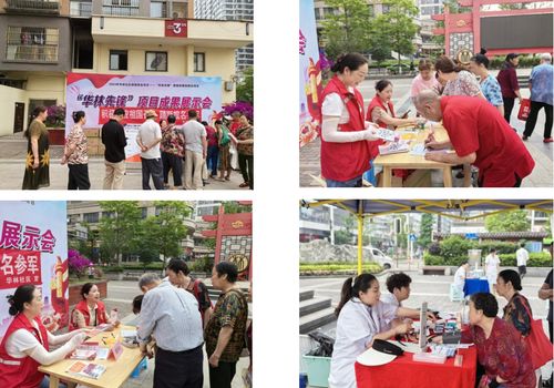 华林先锋党组织服务群众项目成果展示交流活动圆满落幕 党建引领服务，共建美好社区