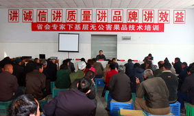 科技赋能，服务下沉——省会专家服务辛集行活动圆满落幕